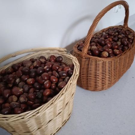 Wyświetl org. rozmiar