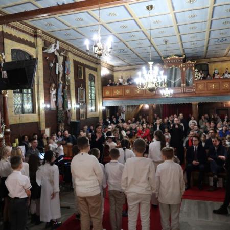 Wyświetl org. rozmiar
