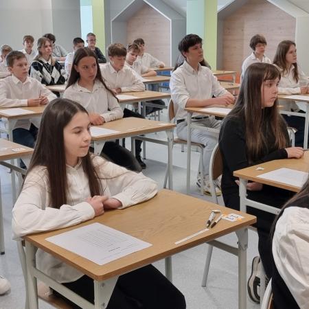 Wyświetl org. rozmiar