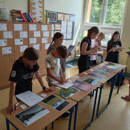 Wyświetl org. rozmiar