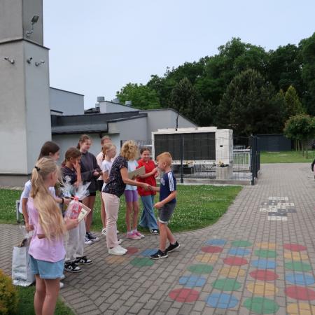 Wyświetl org. rozmiar