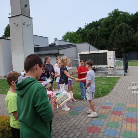 Wyświetl org. rozmiar