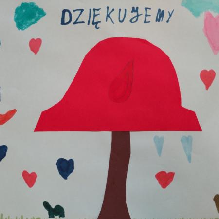 Wyświetl org. rozmiar