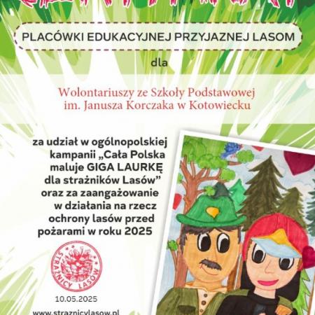 Wyświetl org. rozmiar