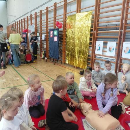 Wyświetl org. rozmiar