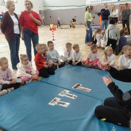 Wyświetl org. rozmiar