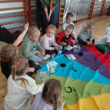 Wyświetl org. rozmiar