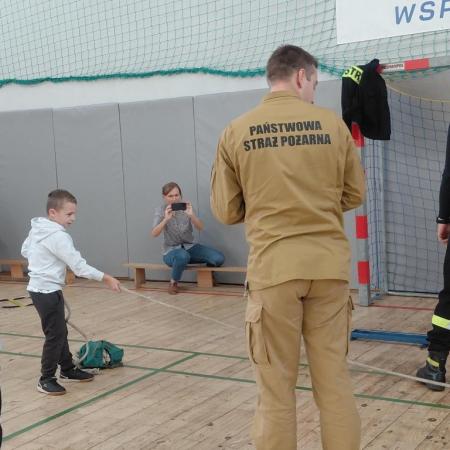 Wyświetl org. rozmiar