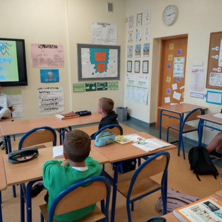 Wyświetl org. rozmiar