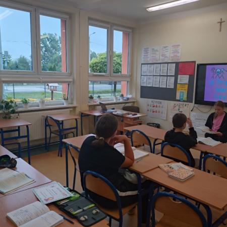 Wyświetl org. rozmiar