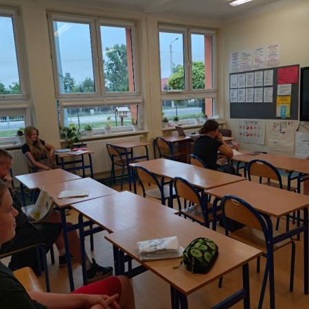 Wyświetl org. rozmiar