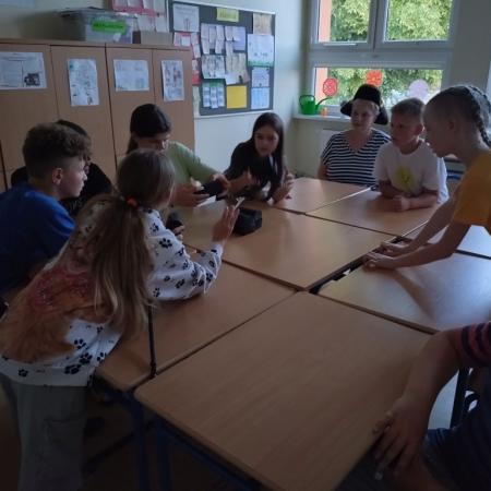 Wyświetl org. rozmiar