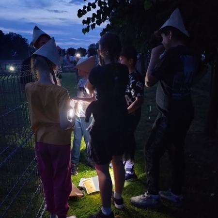 Wyświetl org. rozmiar