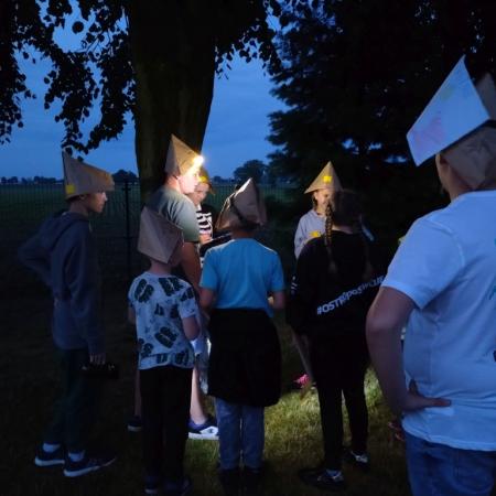 Wyświetl org. rozmiar