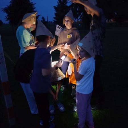Wyświetl org. rozmiar
