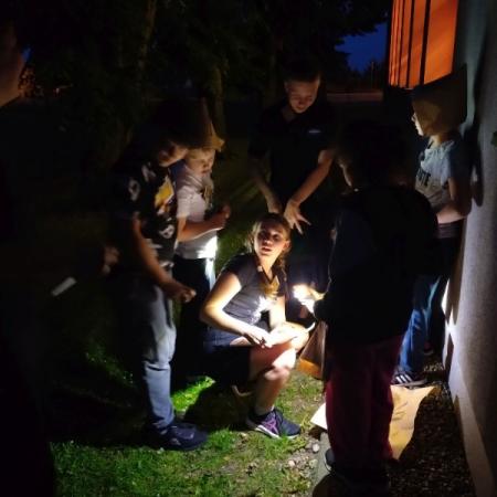 Wyświetl org. rozmiar