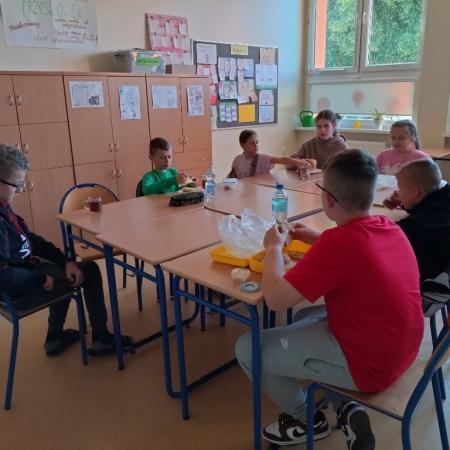 Wyświetl org. rozmiar