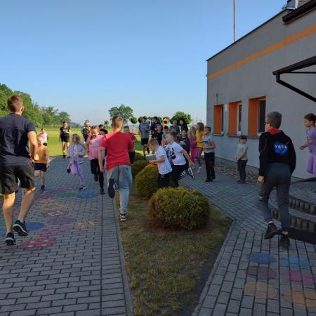 Wyświetl org. rozmiar