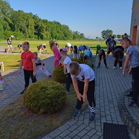 Wyświetl org. rozmiar
