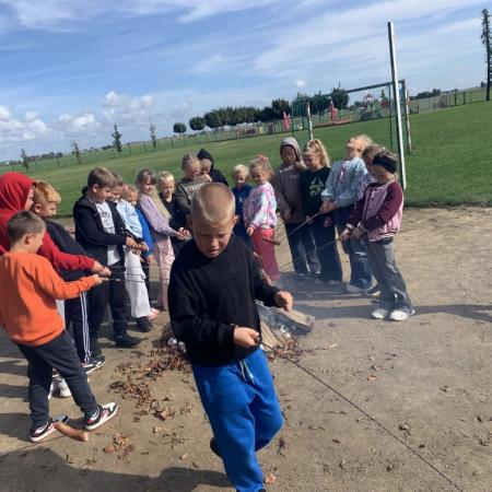 Wyświetl org. rozmiar