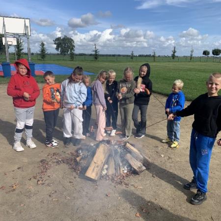 Wyświetl org. rozmiar