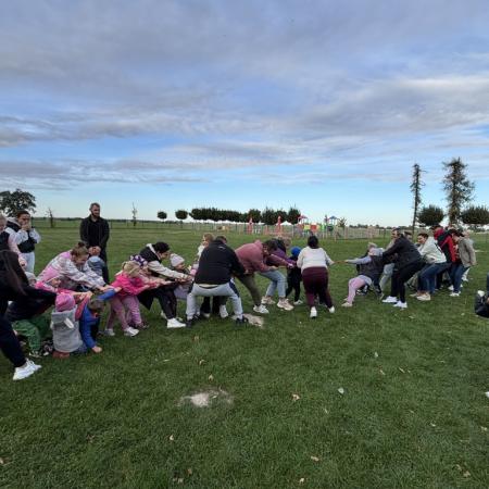 Wyświetl org. rozmiar