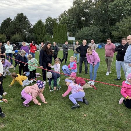 Wyświetl org. rozmiar