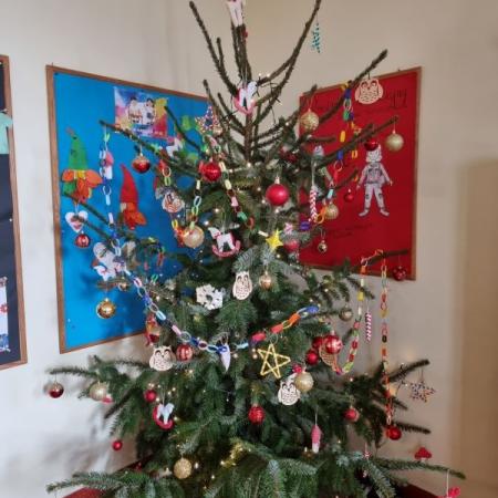 Wyświetl org. rozmiar