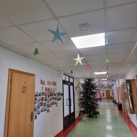 Wyświetl org. rozmiar