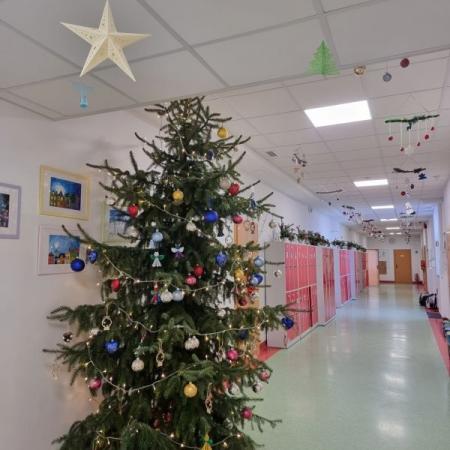 Wyświetl org. rozmiar