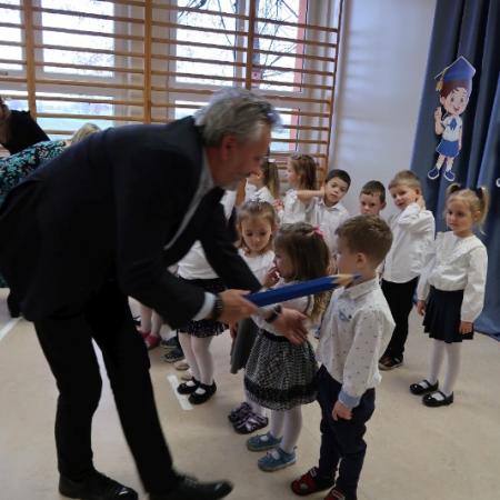 Wyświetl org. rozmiar
