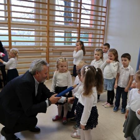 Wyświetl org. rozmiar