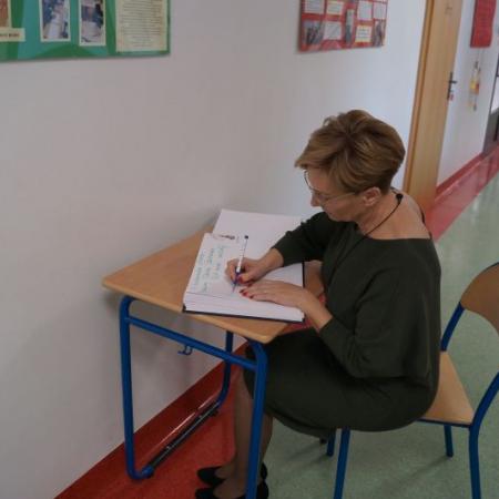 Wyświetl org. rozmiar
