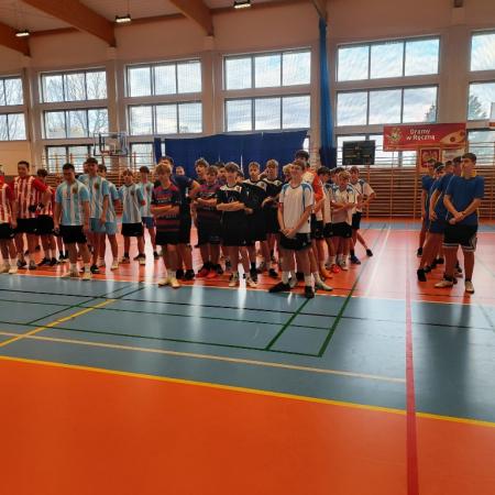 Wyświetl org. rozmiar