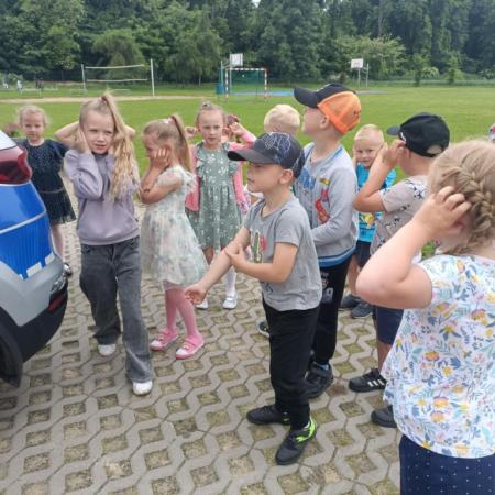 Wyświetl org. rozmiar