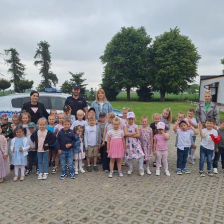 Wyświetl org. rozmiar