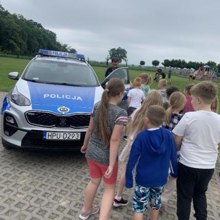 Wyświetl org. rozmiar