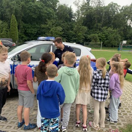 Wyświetl org. rozmiar