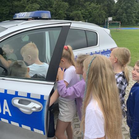 Wyświetl org. rozmiar