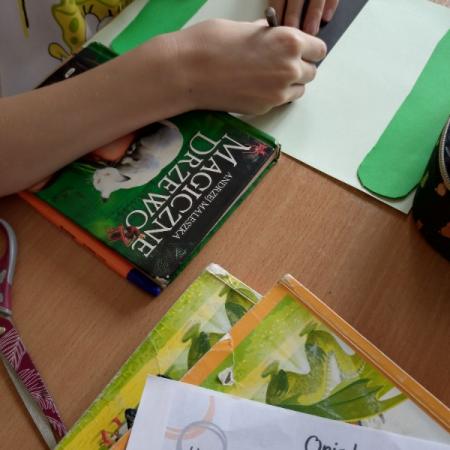 Wyświetl org. rozmiar