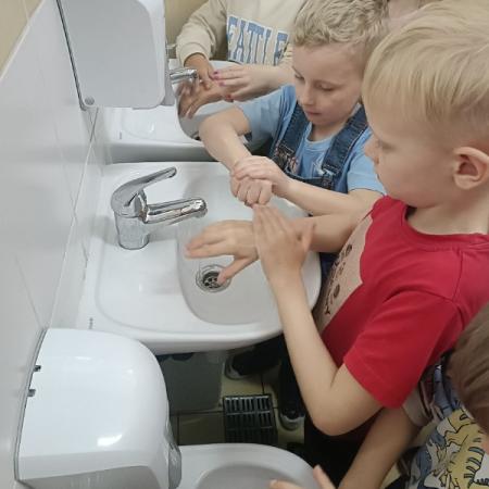 Wyświetl org. rozmiar