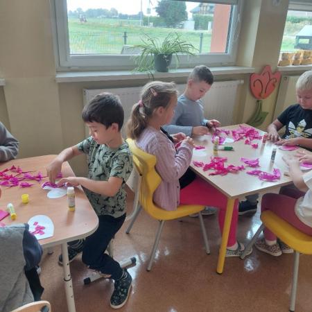 Wyświetl org. rozmiar