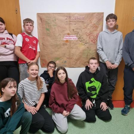 Wyświetl org. rozmiar