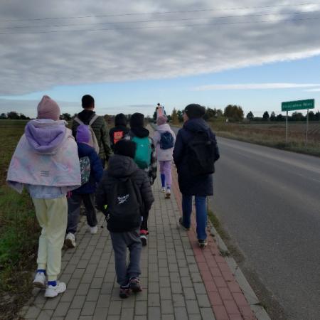 Wyświetl org. rozmiar