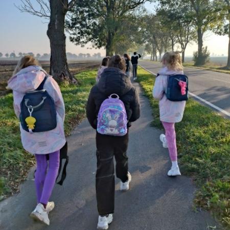 Wyświetl org. rozmiar