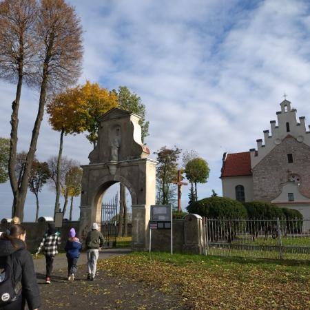 Wyświetl org. rozmiar