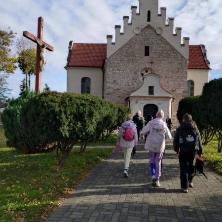 Wyświetl org. rozmiar