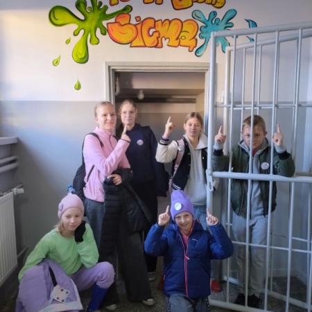 Wyświetl org. rozmiar