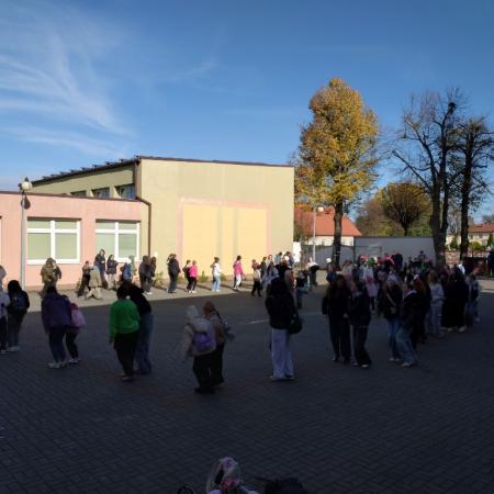 Wyświetl org. rozmiar