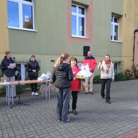 Wyświetl org. rozmiar